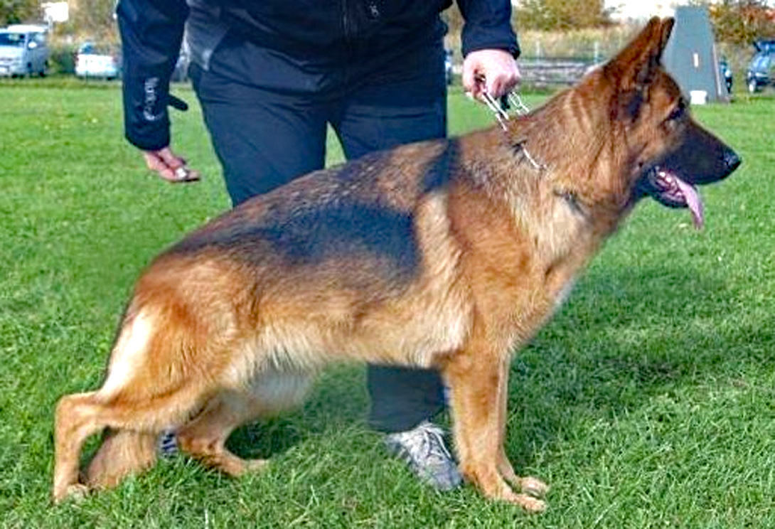 Xenia vom Feuermelder