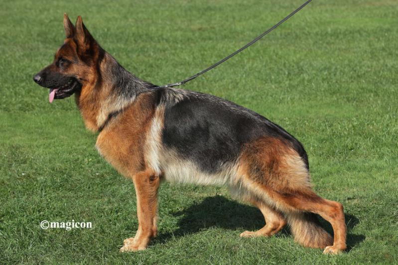 Ya vom Osterberger-Land