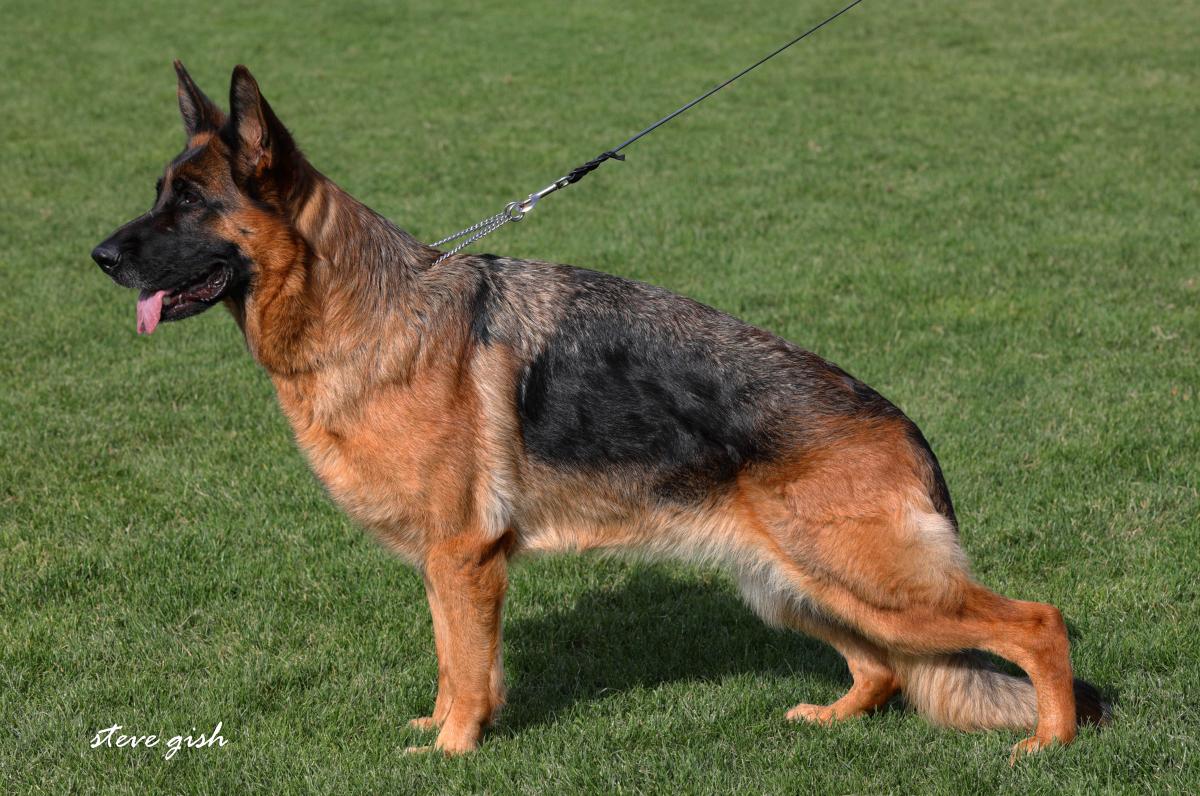 Yasabel di Casa Beggiato