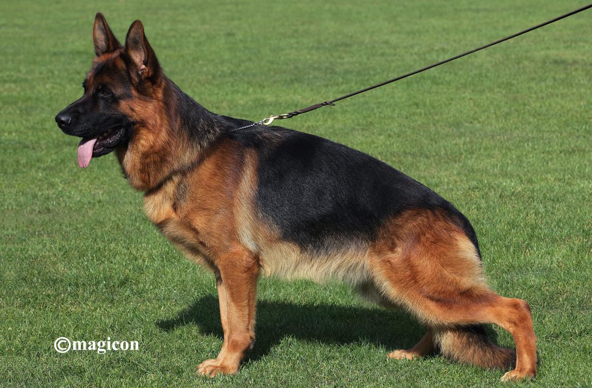 Zet vom Napte-Emmer-Eck