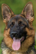 commentor avatar image